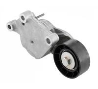 SNR GA359.19 - Rullo tenditore Cinghia Poly-V