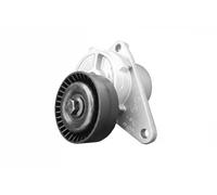 SNR GA365.31 Rullo tenditore cinghia Poly-V