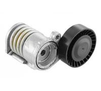 SNR GA365.42 Rullo tenditore cinghia Poly-V