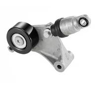 SNR GA369.03 Rullo tenditore cinghia Poly-V