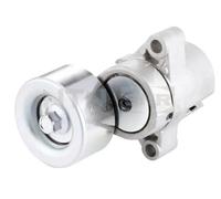 Rullo tenditore cinghia trapezoidale GA370.06 SNR per PEUGEOT CITROËN MAZDA