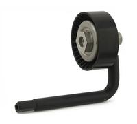 FEBI BILSTEIN 30116 Rullo tenditore, Cinghia Poly-V per BMW