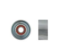NTY Rullo tenditore, Cinghia Poly-V compatibile con HONDA RNK-HD-014