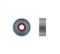 NTY RNK-HD-026 Rullo tenditore cinghia Poly-V
