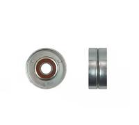 NTY RNK-NS-015 Rullo tenditore, Cinghia Poly-V per BUICK,CADILLAC,CHEVROLET,DAEW