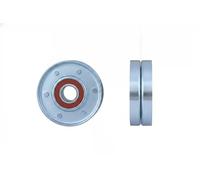 NTY RNK-VV-015 Rullo tenditore, Cinghia Poly-V per VOLVO