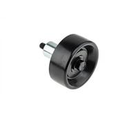 NTY Rullo tenditore, Cinghia Poly-V compatibile con CHRYSLER FORD MAZDA NISSAN