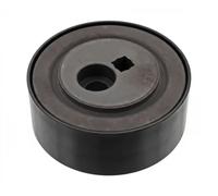 Rullo tenditore cinghia trapezoidale Plastica 05801 FEBI BILSTEIN per CITROËN