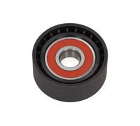 MAXGEAR Rullo tenditore, Cinghia Poly-V compatibile con BMW 54-0895