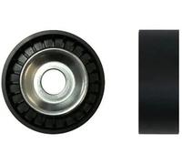 Rullo tenditore cinghia trapezoidale Plastica P230007 DENCKERMANN per VOLVO FORD