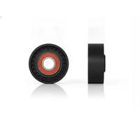 NTY RNK-ME-065 Rullo tenditore cinghia Poly-V