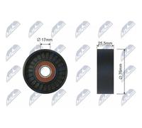 NTY RNK-MS-013 Rullo tenditore cinghia Poly-V