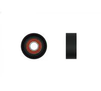 NTY RNK-VW-038 Rullo tenditore cinghia Poly-V