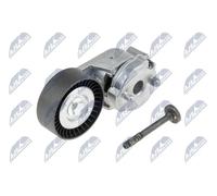 NTY Rullo tenditore cinghia Poly-V