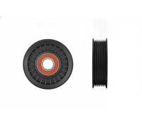 Rullo tenditore cinghia trapezoidale RNK-CH-044 NTY per JEEP GRAND CHEROKEE II