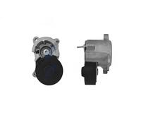 NTY Rullo tenditore, Cinghia Poly-V compatibile con CITROËN FIAT LANCIA PEUGEOT