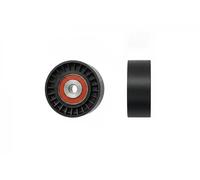 NTY RNK-FR-058 Rullo tenditore cinghia Poly-V
