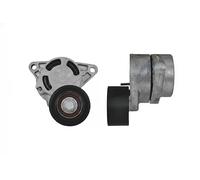 NTY Rullo tenditore, Cinghia Poly-V compatibile con NISSAN OPEL RENAULT