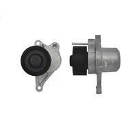 NTY RNK-NS-036 Rullo tenditore cinghia Poly-V