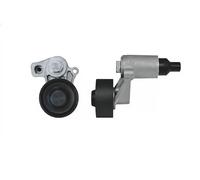 NTY RNK-PE-004 Rullo tenditore cinghia Poly-V