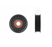 NTY RNK-PL-041 Rullo tenditore cinghia Poly-V