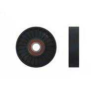 NTY RNK-SA-000 Rullo tenditore cinghia Poly-V