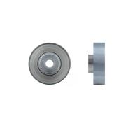 NTY RNK-SU-017 Rullo tenditore cinghia Poly-V