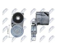 NTY RNK-VW-026 Rullo tenditore cinghia Poly-V
