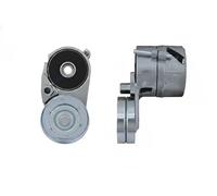 NTY RNK-VW-026 Rullo tenditore cinghia Poly-V