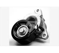 Hutchinson Puleggia tendicinghia T0058 cinghia a V