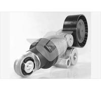 Hutchinson Puleggia tendicinghia T0546 per cinghia a V
