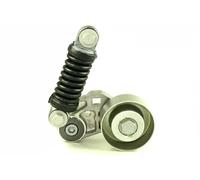 HUTCHINSON T1009 Rullo tenditore cinghia Poly-V