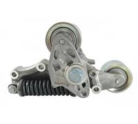 HUTCHINSON T3033 Rullo tenditore cinghia Poly-V