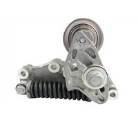 Hutchinson Puleggia tendicinghia T3034 per cinghia a V