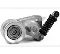 HUTCHINSON T3078 Rullo tenditore, Cinghia Poly-V