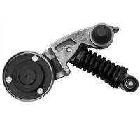 Rullo tenditore cinghia trapezoidale T4035 HUTCHINSON per AUDI VW
