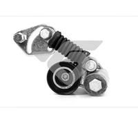 Hutchinson Rullo tenditore cinghia Poly-V T5014