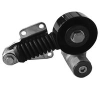 Hutchinson Puleggia tendicinghia T6026 per cinghia a V