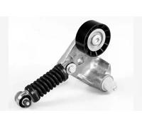 HUTCHINSON T9052 Rullo tenditore, Cinghia Poly-V per FORD,JAGUAR