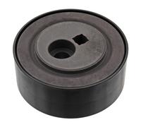 Rullo tenditore cinghia trapezoidale Plastica 05801 FEBI BILSTEIN per CITROËN