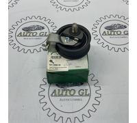 RULLO TENDITORE NUOVO INA PER AUDI TT ROADSTER 99-06 COD:531039920