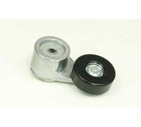 Rullo Tensionatore Cinghia Tensionatore Chevrolet Astro Blazer G20 HUMMER H1