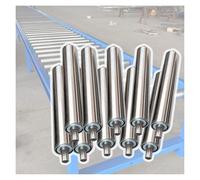 Rullo trasportatore, confezione di ricambio per rulli trasportatori da 10 pezzi in acciaio inossidabile, diametro 25-60 mm, lunghezza 100-1000 mm (diametro 25 mm/1 pollice, lunghezza 450 mm/17,7 pol