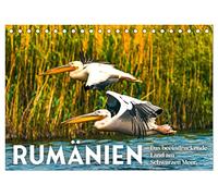 Rumänien - Das beeindruckende Land am Schwarzen Meer. (Tischkalender 2026 DIN A5 quer), CALVENDO Monatskalender: Bären, Dracula unberührte Natur.
