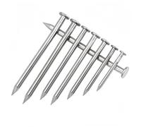 Rummyluck M2.5x50mm Chiodi per Quadri, Chiodi in Acciaio per Pareti in Calcestruzzo, Mattoni in Legno (60 Pezzi)