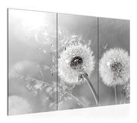 Runa Art Dente Di Leone Quadri Soggiorno Grande Bianco E Nero Natura 120 x 80 cm 3 Pezzi Decorazione Murale 023631c