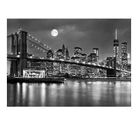 Runa Art Sfondo Fotografico New York City 352 x 250 cm Lana Sfondo Salotto Camera da letto Ufficio Corridoio Decorazione Murali Decorazione da muro moderna - 100% FATTI IN GERMANIA - 9101011b