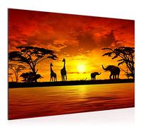 Runa Art Tabella decorazione parietale African Animals - 60 x 40 cm XXL Stampa su Tela Salotto Appartamento - pronte da appendere - 000215a