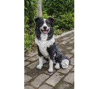 RUNADI Hi- Line Gift 87689 - Soprammobile a Forma di Cane Seduto