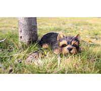 Hi- Line Gift RUNADI 87710-M - Statuetta di Yorkshire Terrier Che Dorme, Colore: Nero